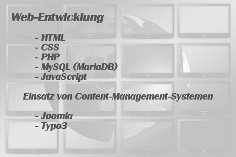 Web-Entwicklung